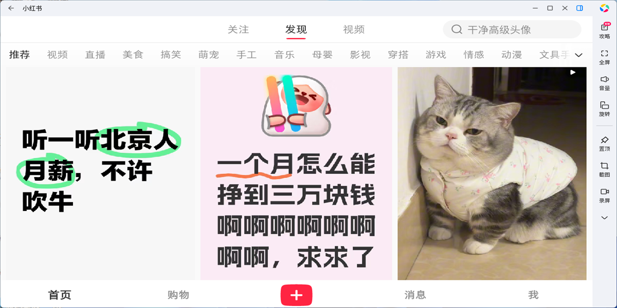 小红书应用电脑版