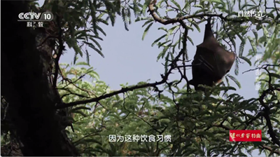 时光未央tv版下载安装2025最新版