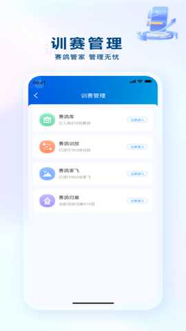 安捷赛鸽