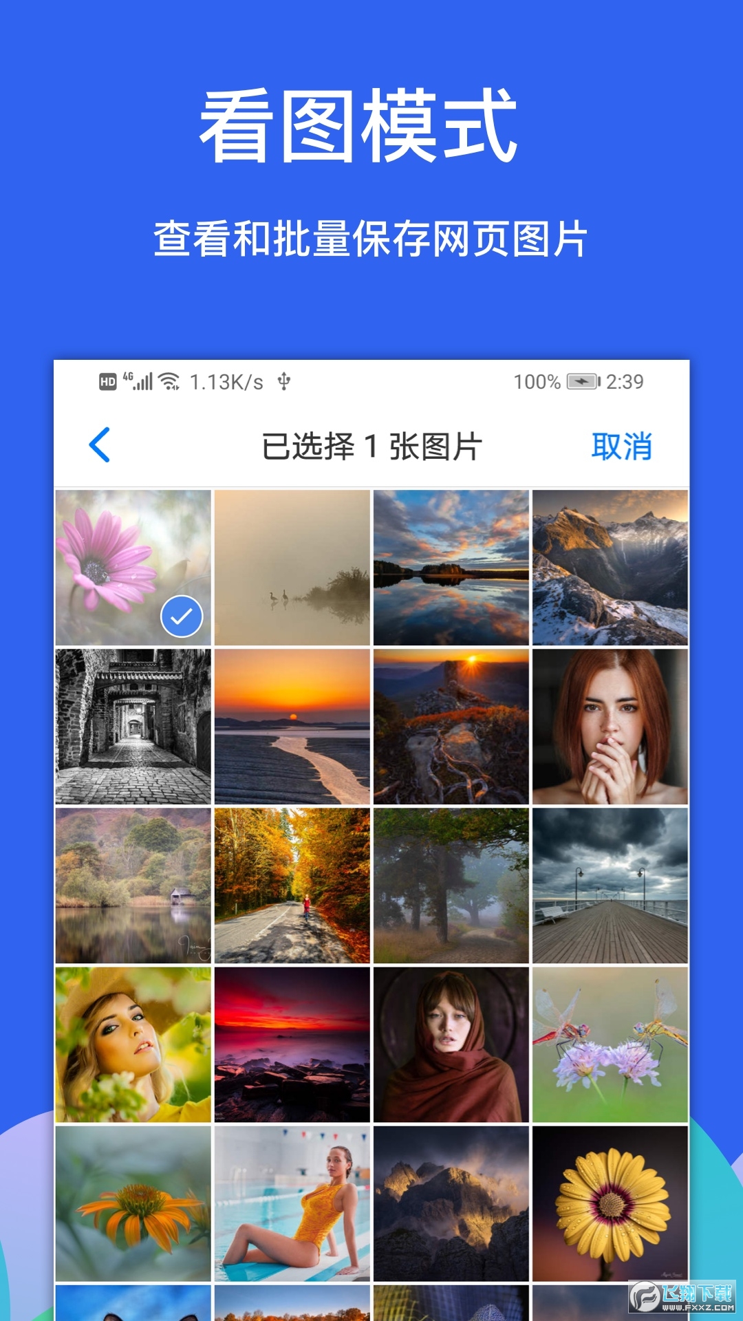 Alook浏览器手机安卓最新版