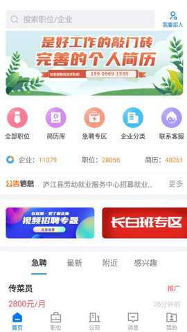 魅力庐江人才网