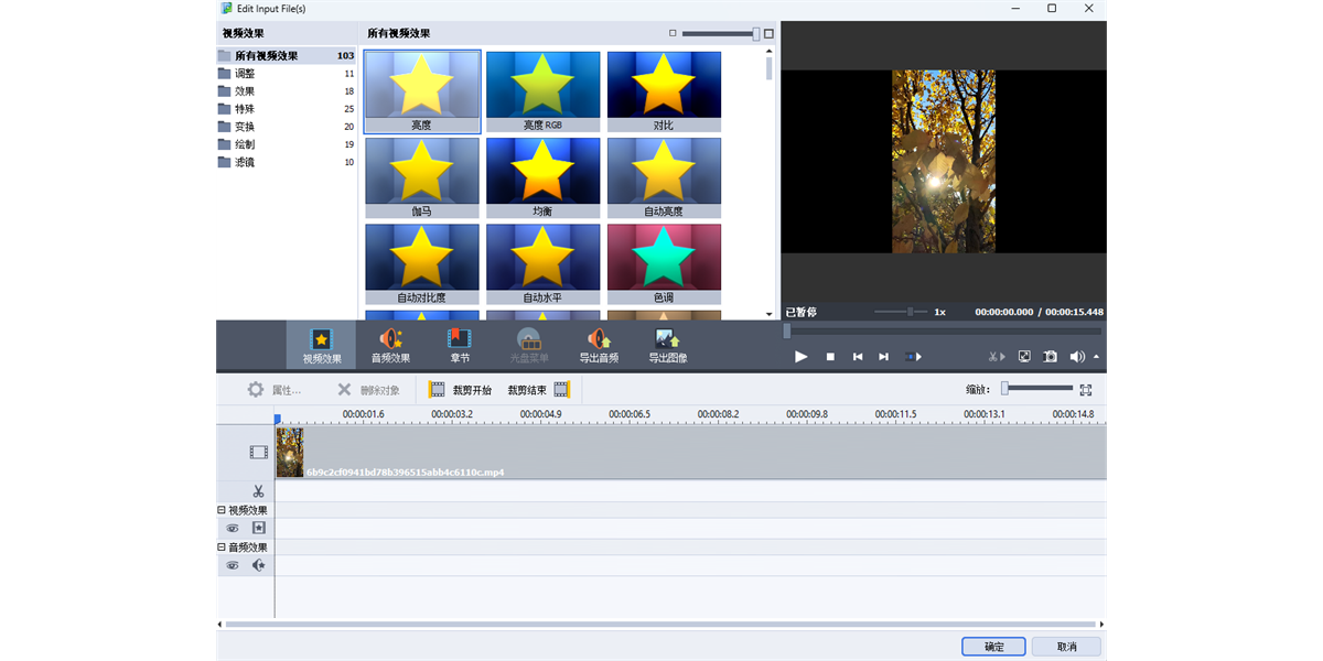 AVS Video Con