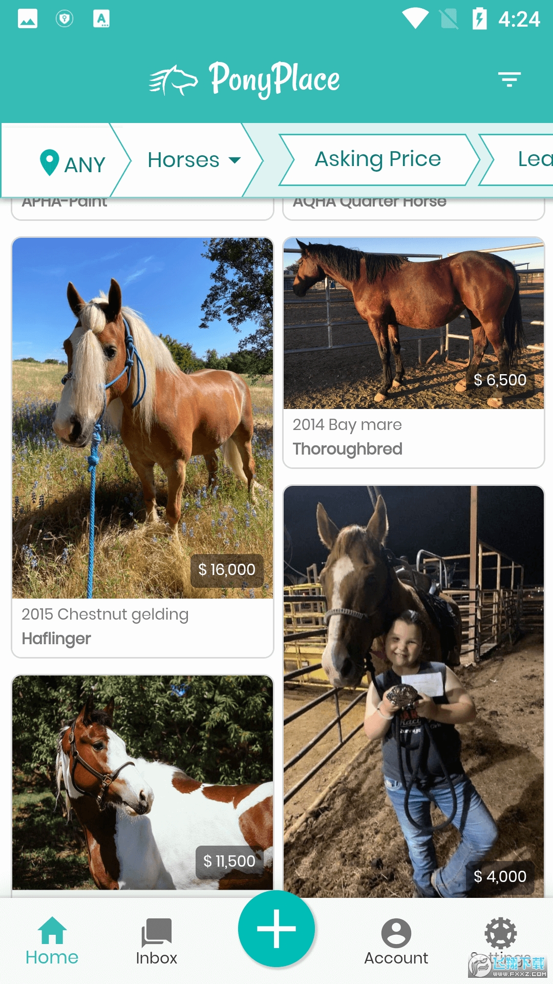 ponyplace马匹交易app手机版