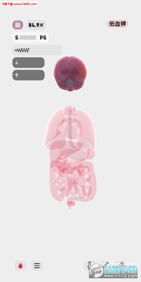 生命人体模拟器手游