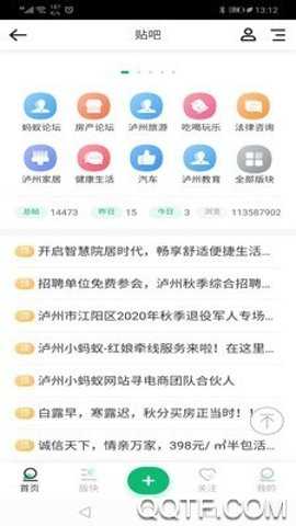 泸州小蚂蚁