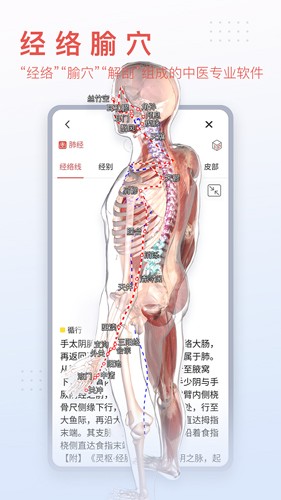 3Dbody艺用(3Dbody艺用三维人体模型)V8.4.41 安卓最新版