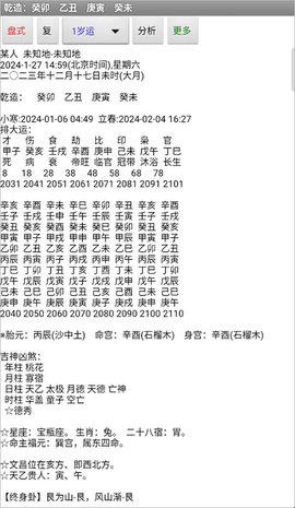 玄奥八字(专业八字算命软件)