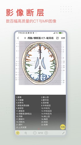 3Dbody艺用(3Dbody艺用三维人体模型)V8.4.41 安卓最新版