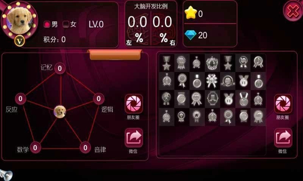 最强大脑APP