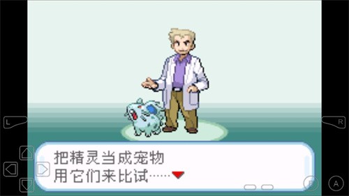 口袋妖怪叶绿