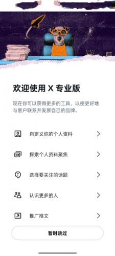 TwitterX中文版