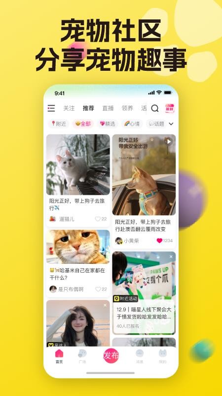 宠之谷最新正版