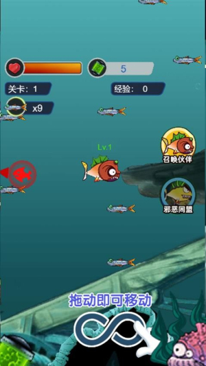 养个小乖乖最新正版