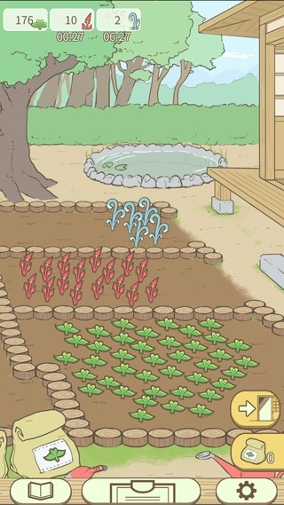 暖洋洋之森的药师游戏最新版