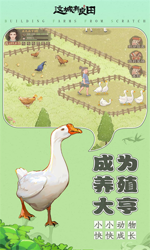这城有良田华为版