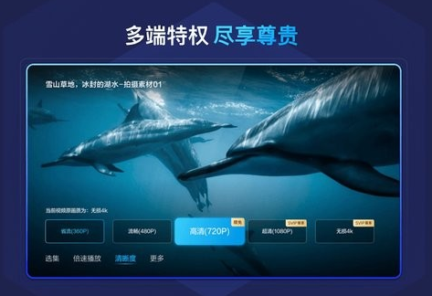 百度网盘电视版最新版下载 百度网盘电视版最新版下载