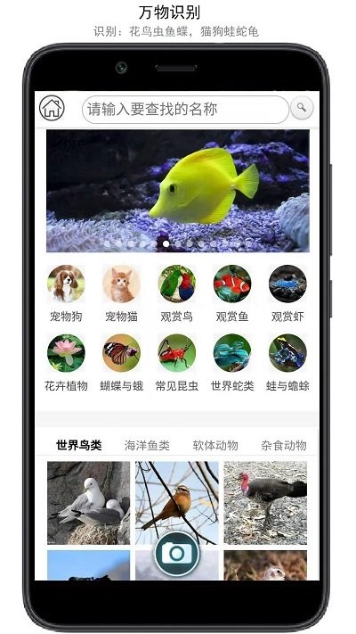 万物识别