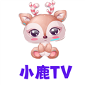 小鹿t