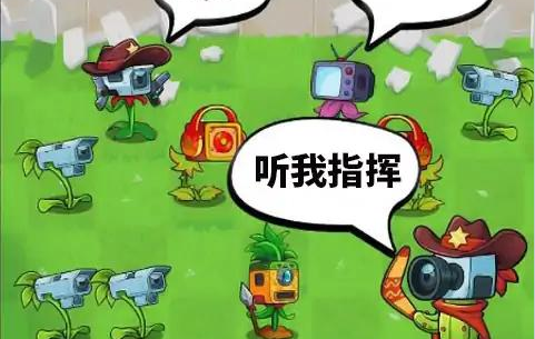 植物僵尸冲突战争游戏下载