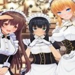 定制女仆2 夜战模式版