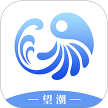 望潮最新安卓版下载