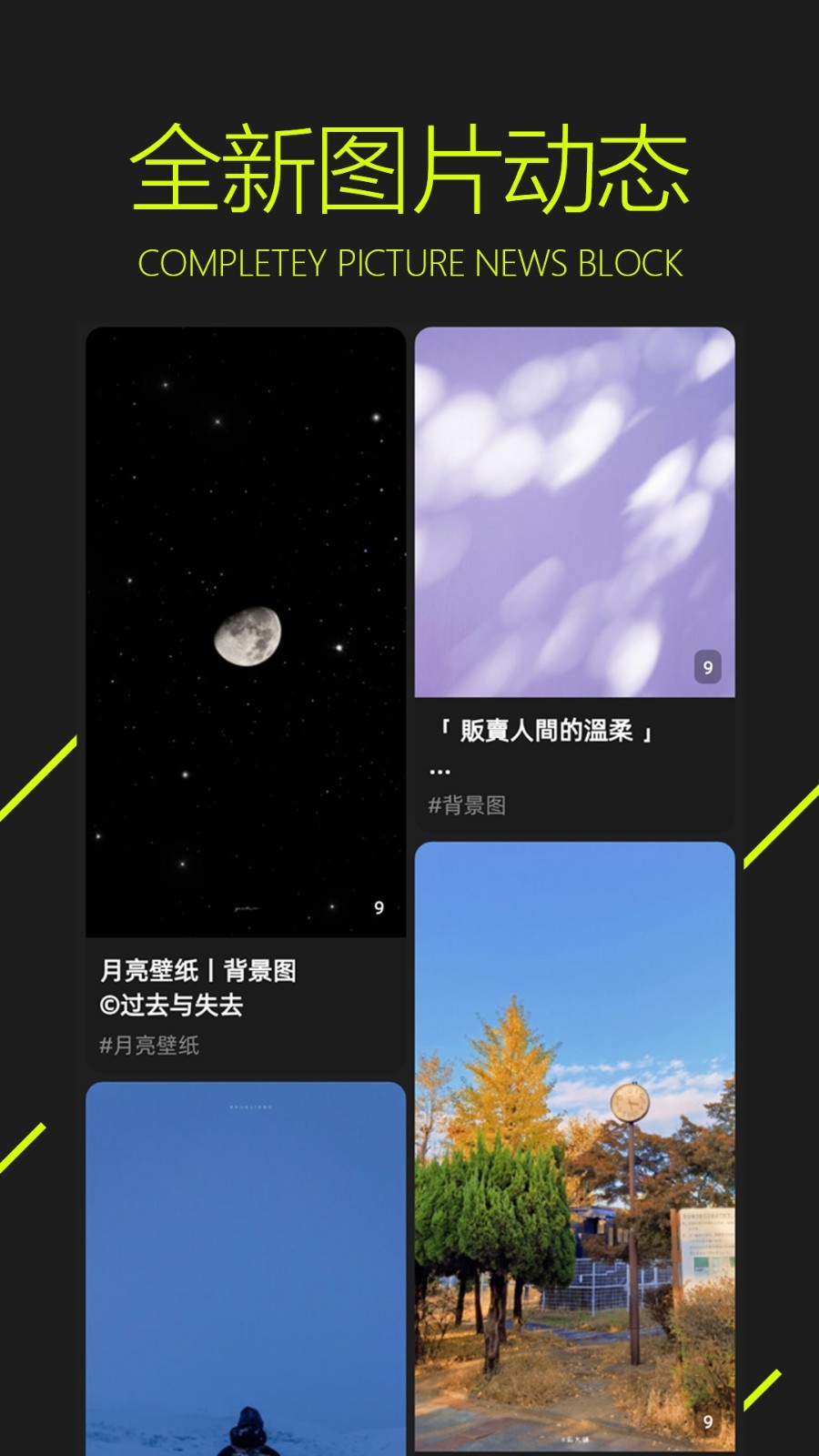 图凌壁纸app免费下载