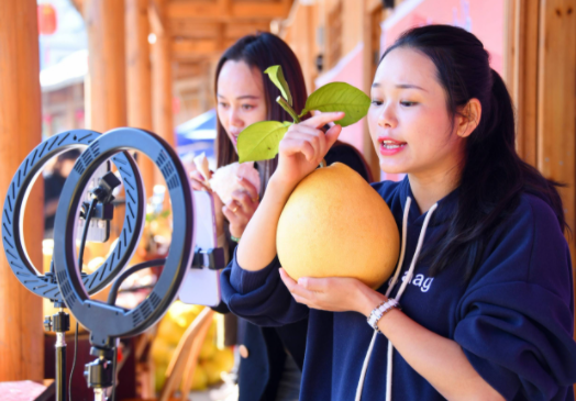抖音直播伴侣app手机最新版下载 抖音直播伴侣app手机最新版下载