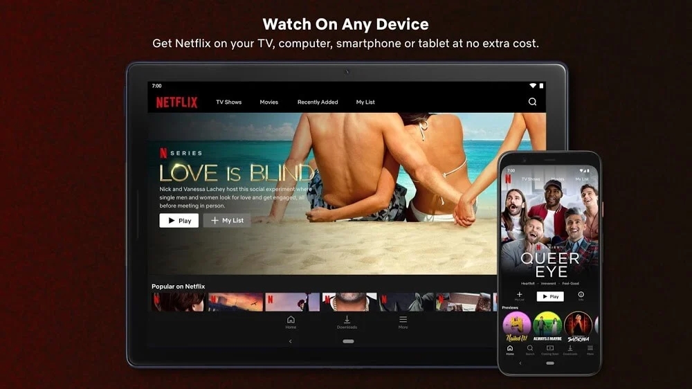 netflix最新安卓版下载2026(网飞)