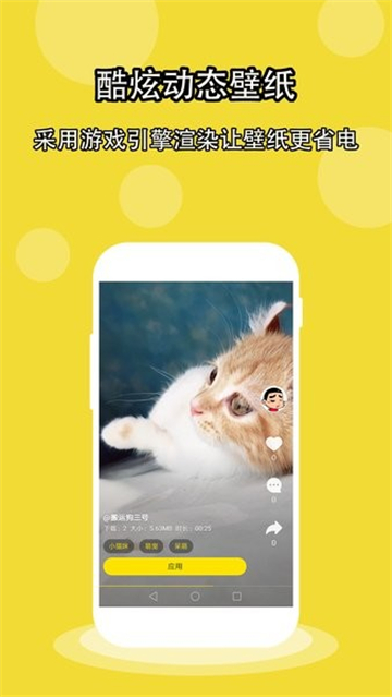 酷壁纸动态壁纸