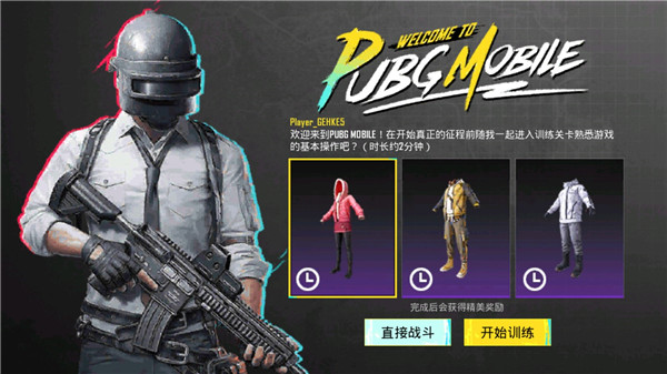 和平精英（国际服） 下载安装