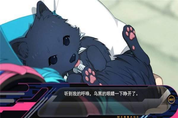 dmmd 手机版汉化版