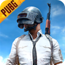 pubg国际服 手游下载官方正版