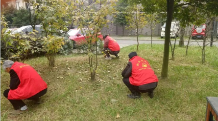 广东i志愿 广东i志愿