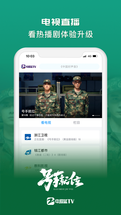 中国蓝t