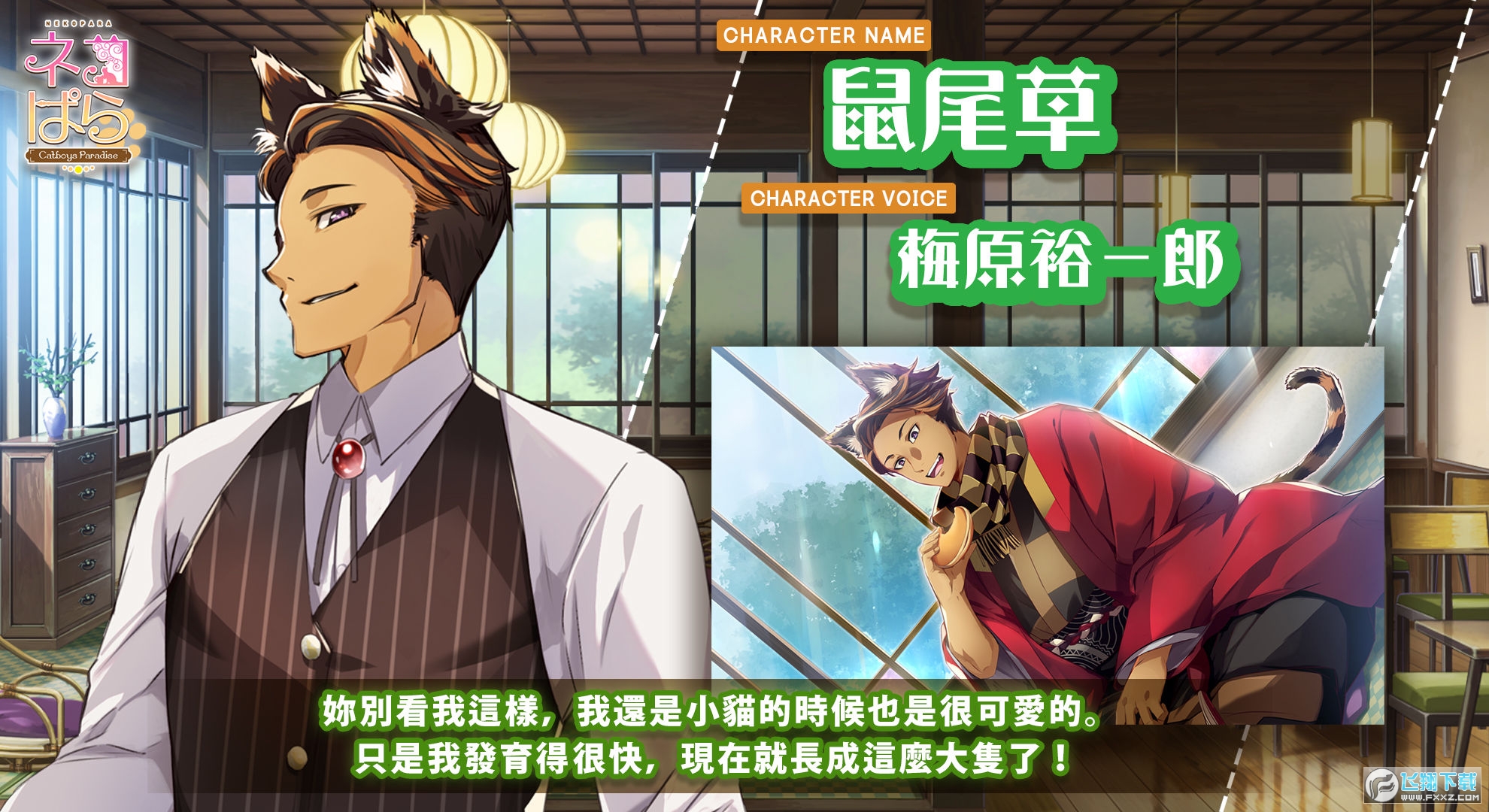 猫郎乐园手机安卓版