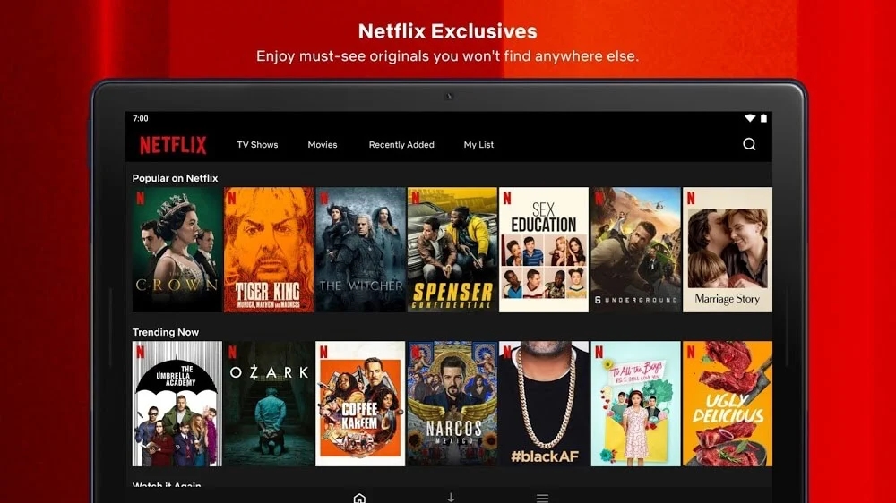 netflix最新安卓版下载2026(网飞)
