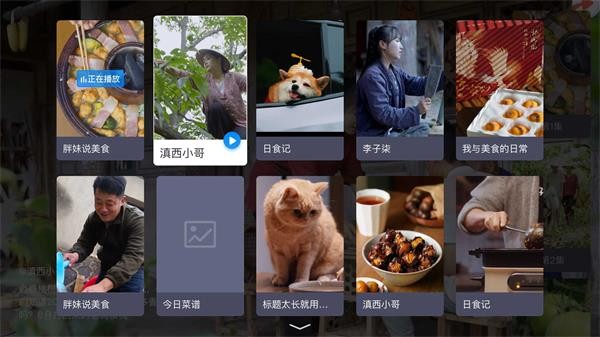 电视家app电视版