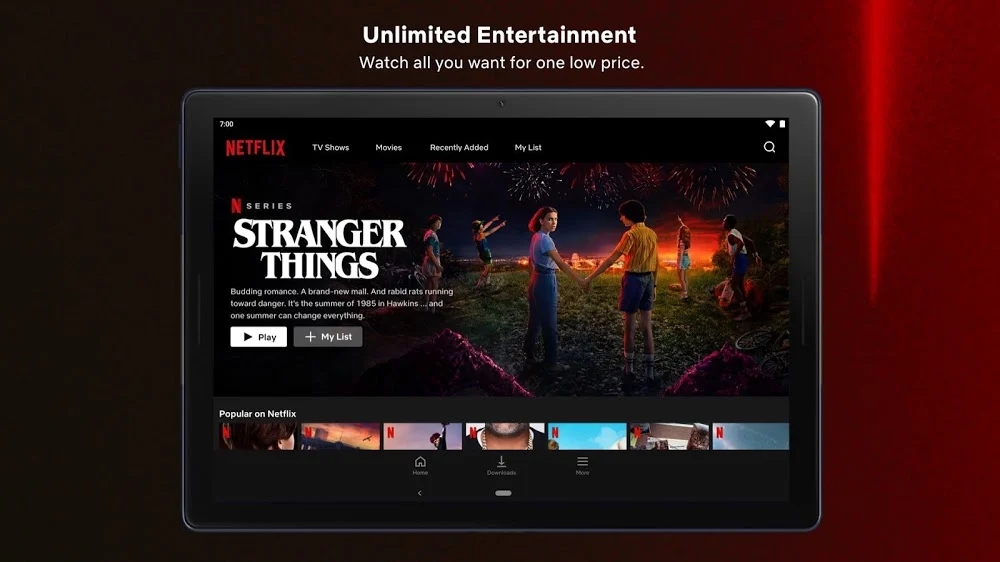 netflix最新安卓版下载2026(网飞)