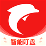 海豚股票