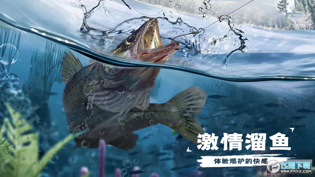 天天钓鱼 天天钓鱼