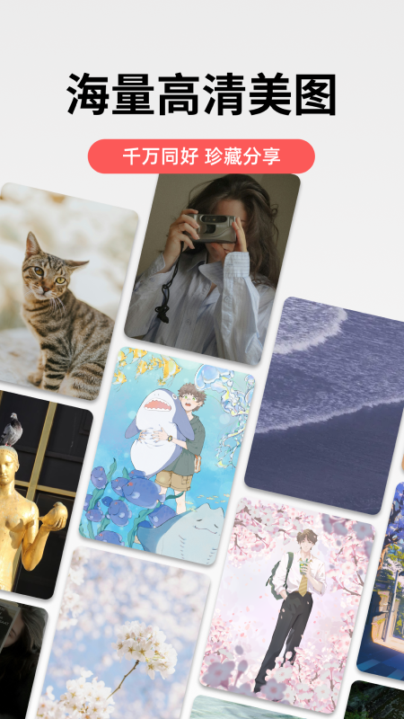 堆糖app最新版