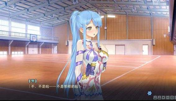 美少女万华镜5 中文版