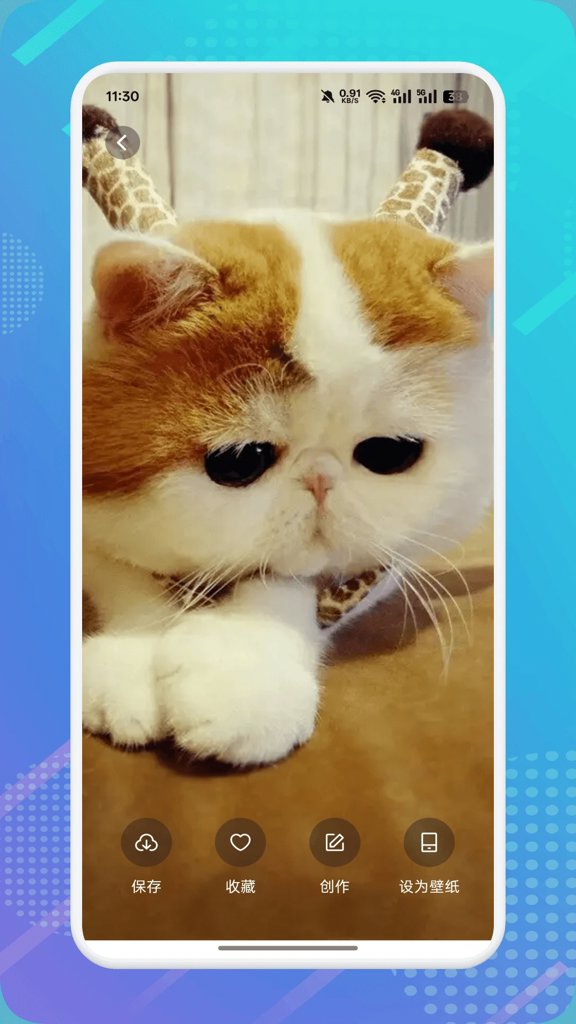 猫咪社区管网app官方正版手机