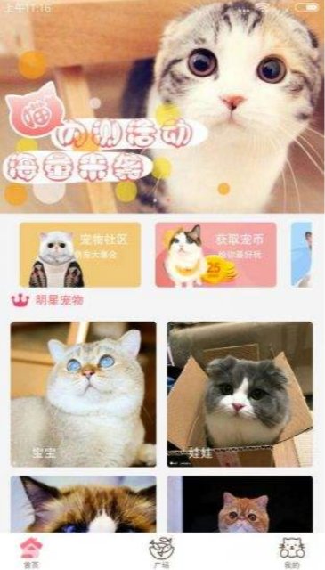 猫咪社区3.1.2正版最新版