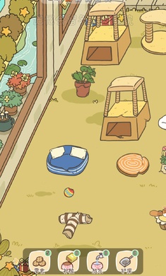 找下猫