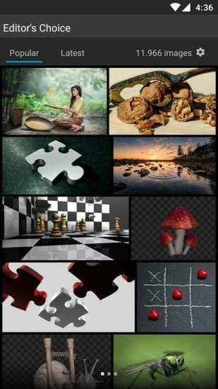 pixabay官方入口手机版
