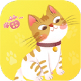 橙猫