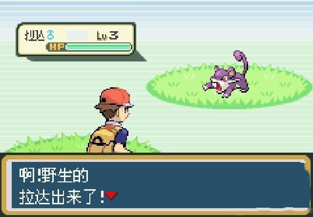 口袋妖怪究极绿宝石5.4
