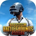pubg官网免费版