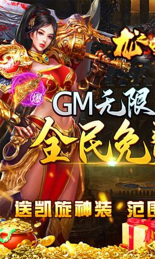 龙之守护